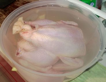 Brining the Chicken in 6% salt solution, making sure the whole chicken is covered.